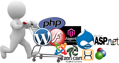 web-development-professionals